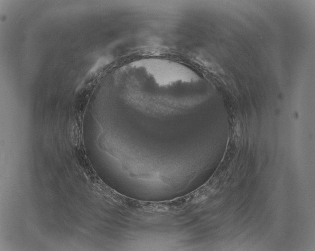 X0000063461446200601201234