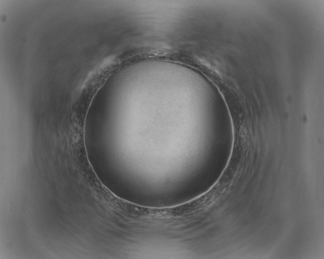 X0000063461447200601201234