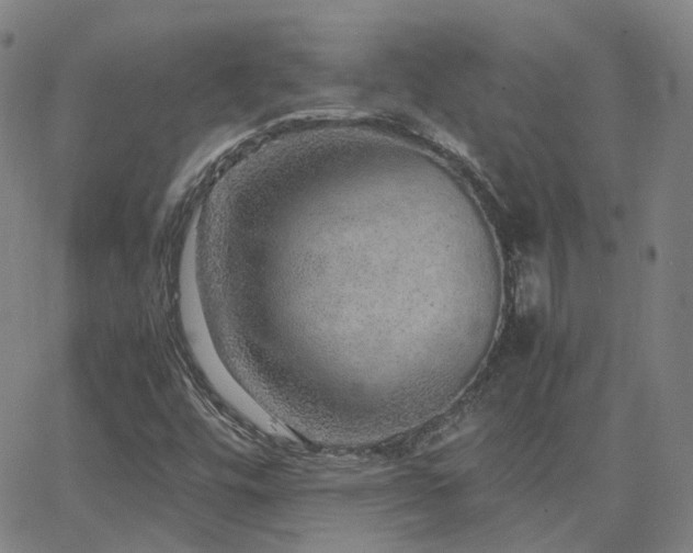 X0000063461448200601201234