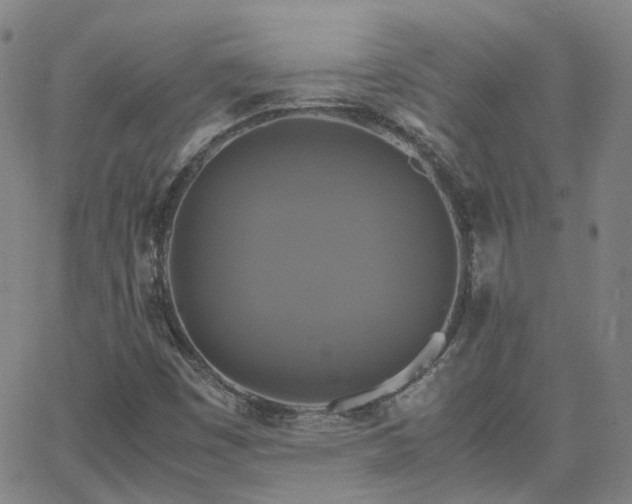 X0000063461449200601201234