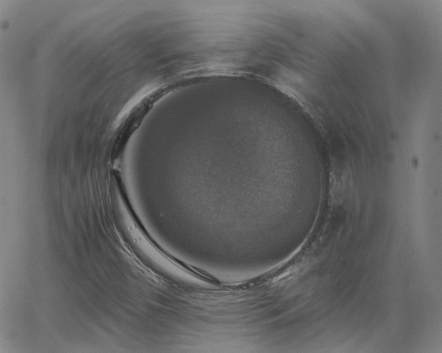 X0000063461450200601201234