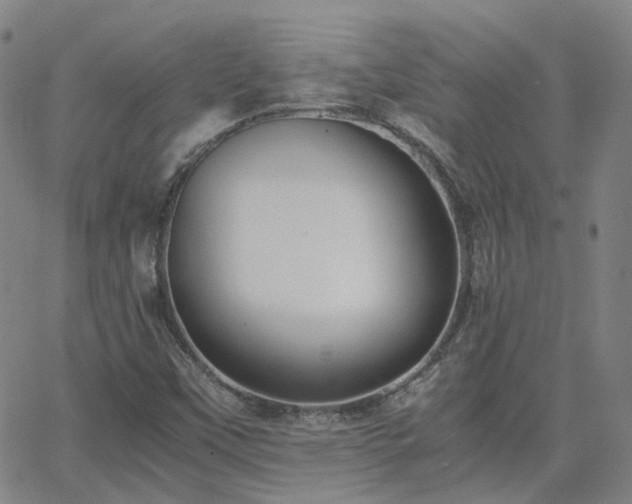 X0000063461451200601201234