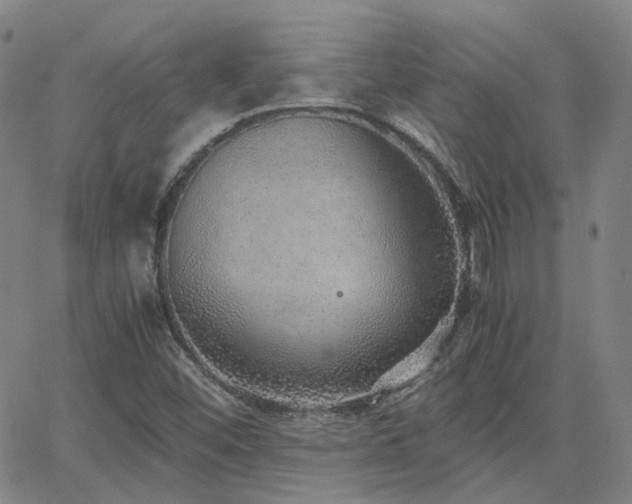 X0000063461452200601201234