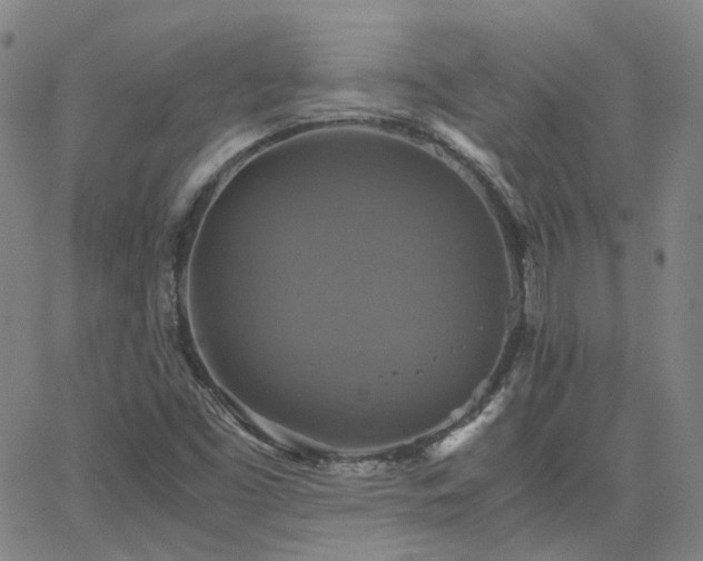 X0000063461453200601201234