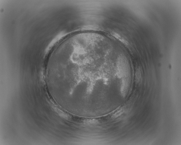 X0000063461454200601201234