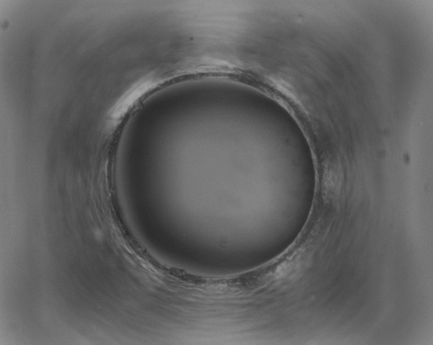 X0000063461455200601201234