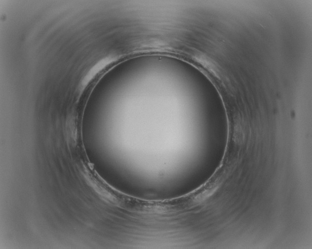 X0000063461458200601201233