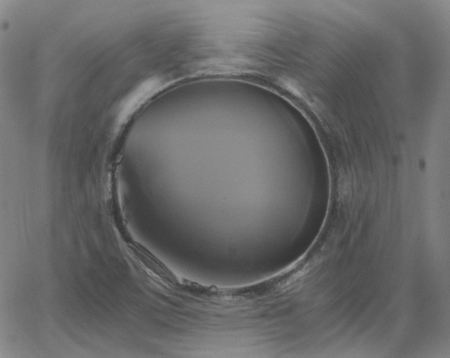 X0000063461459200601201233