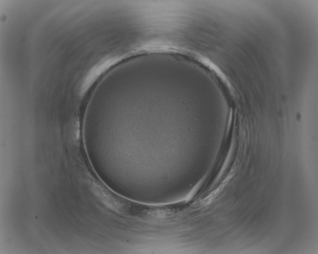 X0000063461461200601201233