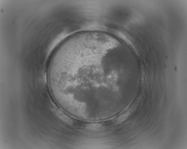 X0000063461462200601201233