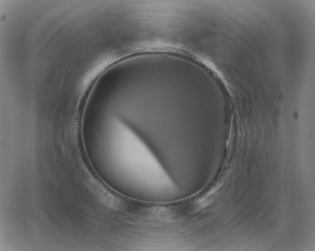 X0000063461463200601201233