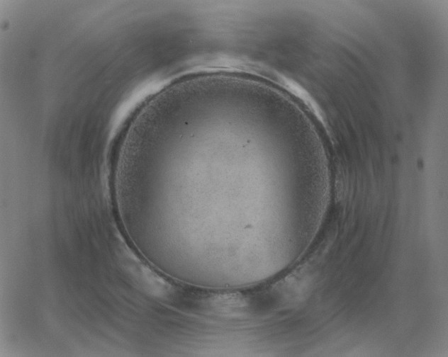 X0000063461464200601201233