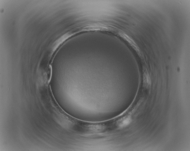 X0000063461465200601201233