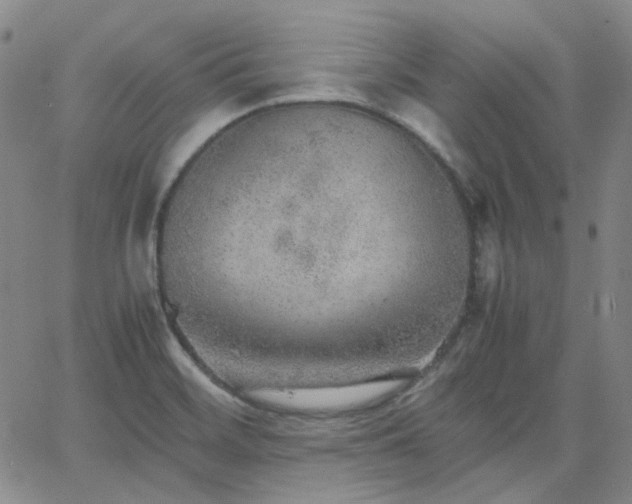 X0000063461468200601201233