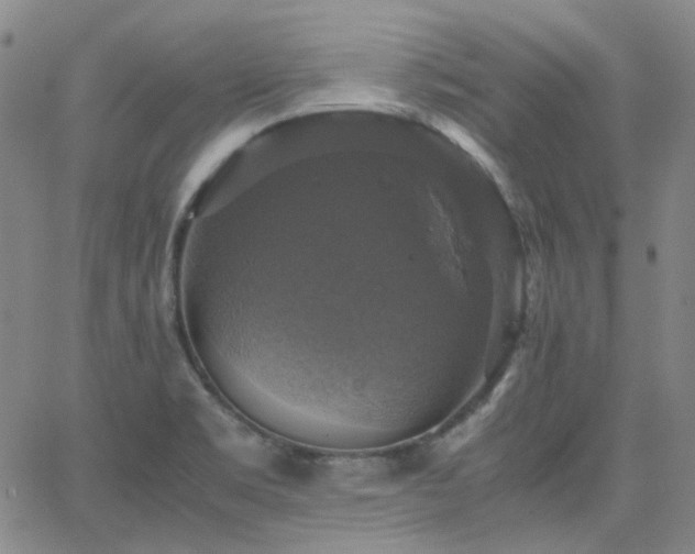 X0000063461469200601201233