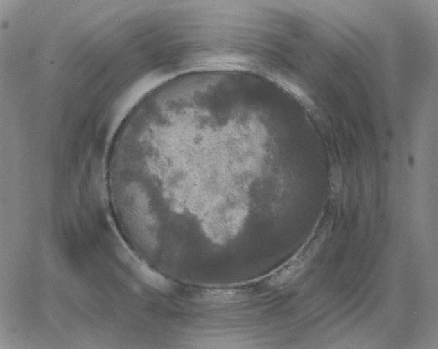 X0000063461470200601201233