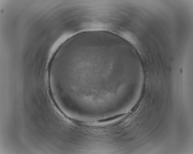 X0000063461472200601201233