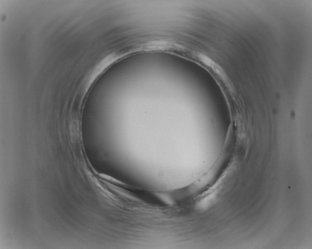 X0000063461473200601201233