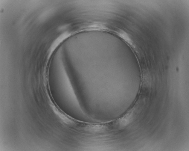 X0000063461474200601201233