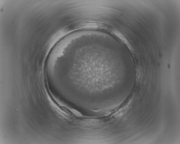 X0000063461475200601201233