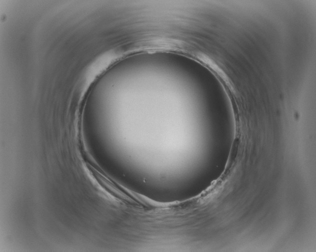 X0000063461477200601201233