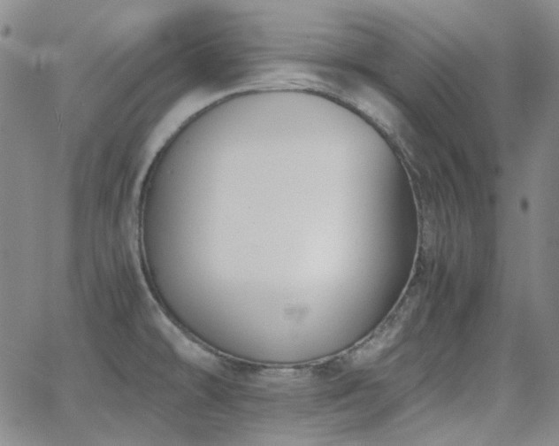 X0000063461478200601201233