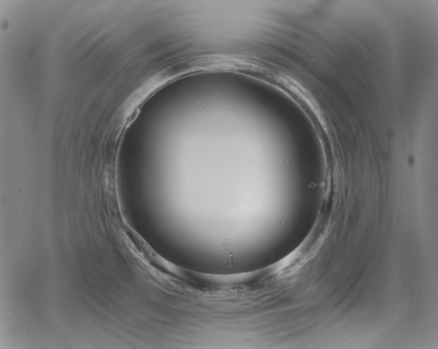 X0000063461481200601201233