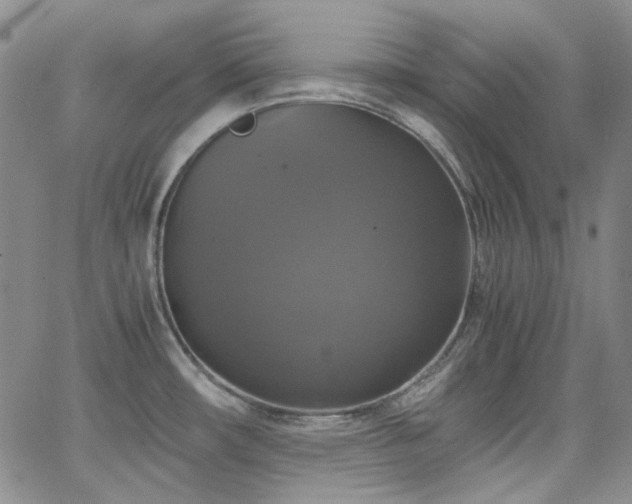 X0000063461482200601201233