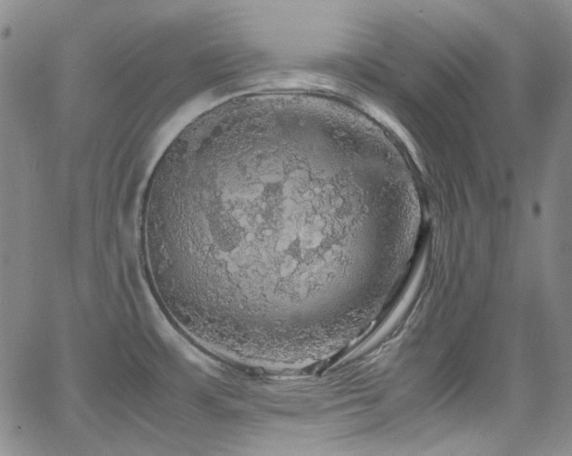 X0000063461483200601201233