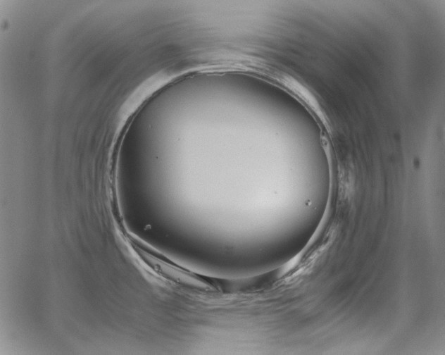 X0000063461485200601201233