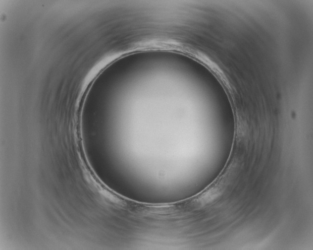 X0000063461486200601201233