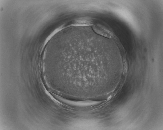 X0000063461487200601201233