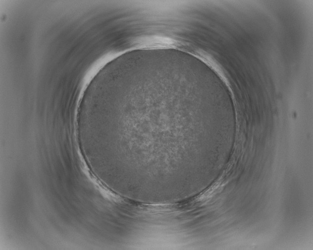 X0000063461488200601201233