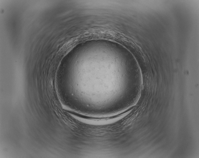 X0000063461489200601201232