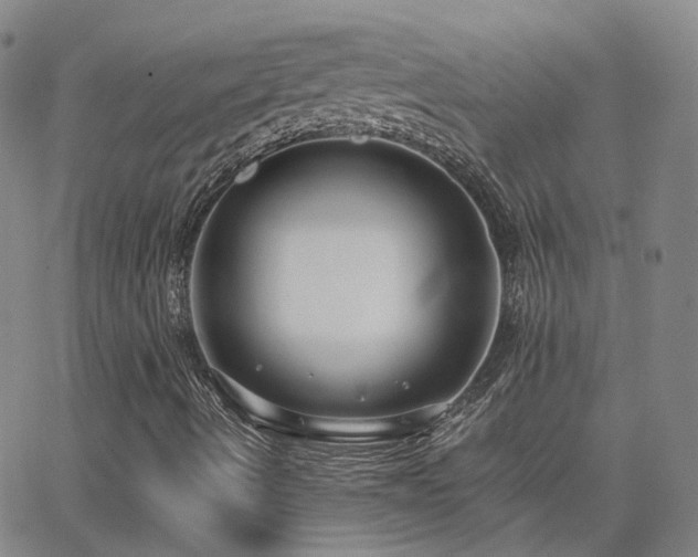 X0000063461490200601201232