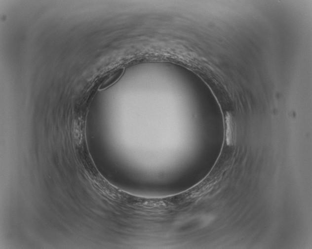 X0000063461491200601201232