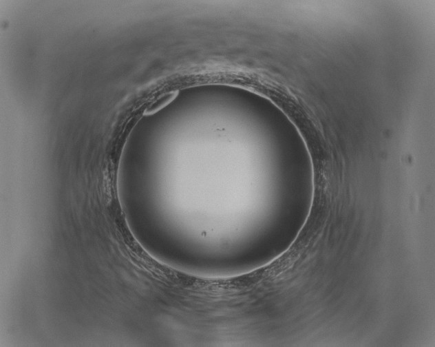 X0000063461493200601201232