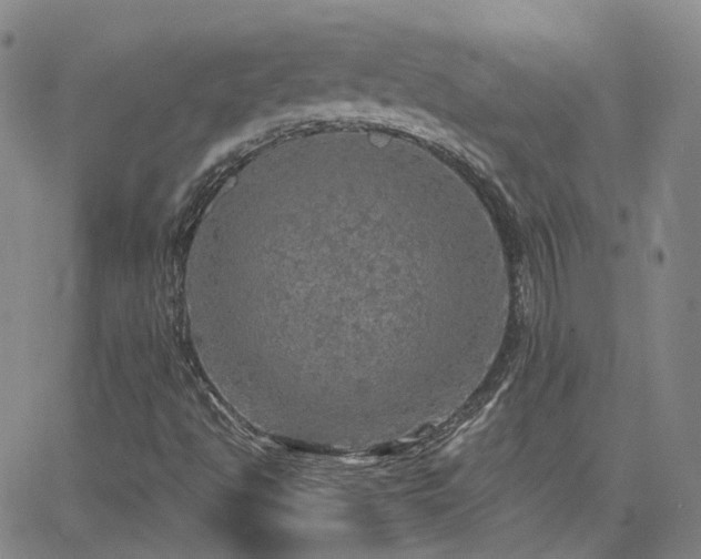 X0000063461494200601201232