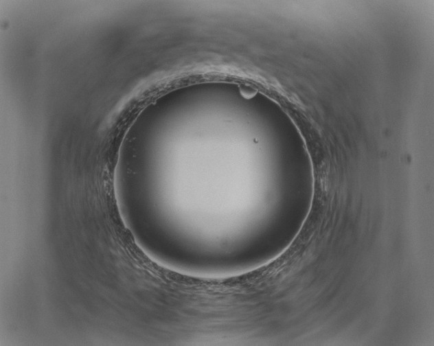 X0000063461495200601201232