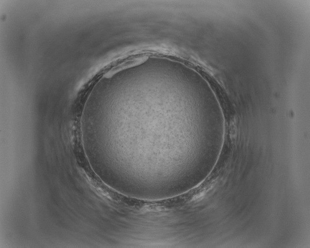 X0000063461496200601201232