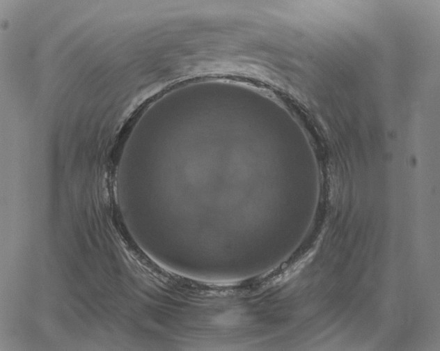 X0000063461497200601201232