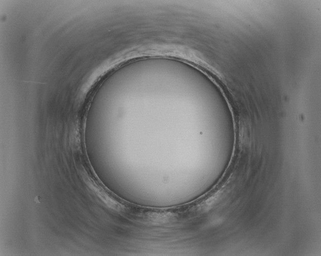 X0000063461498200601201232