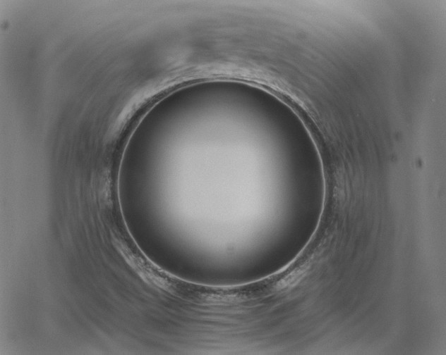 X0000063461499200601201232