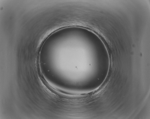 X0000063461500200601201232