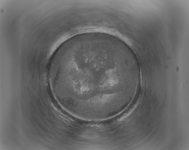 X0000063461501200601201232