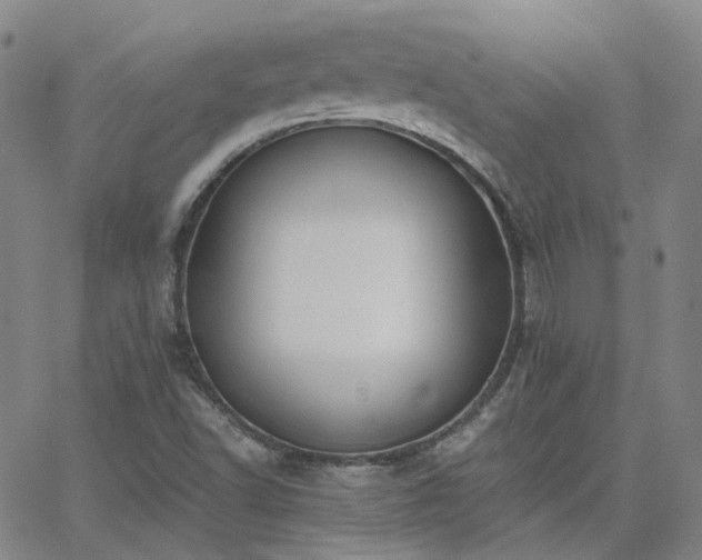 X0000063461502200601201232