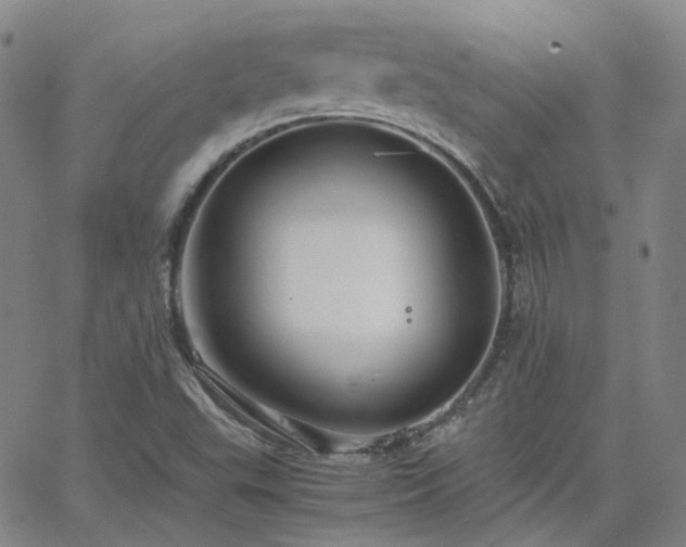 X0000063461503200601201232