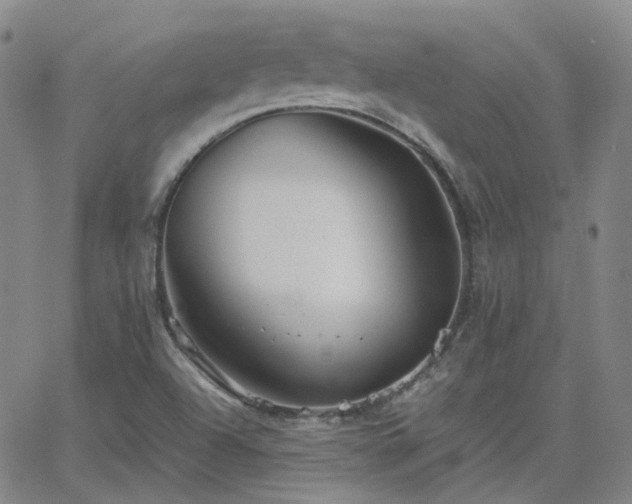 X0000063461504200601201232