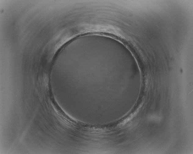 X0000063461505200601201232