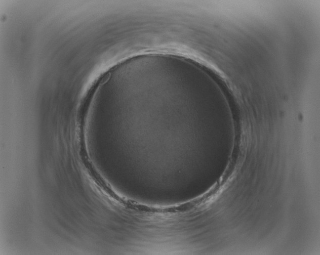 X0000063461506200601201232